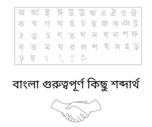 Read more about the article বাংলা গুরুত্বপূর্ণ কিছু শব্দার্থ